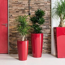 LECHUZA Rondo Round Tall Poly Resin Self-watering Planter