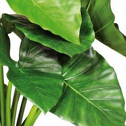 ALOCASIA CALIDORA Artificial Tree Plant