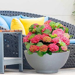 IDEALIST Lite Dish Style Smooth Bowl Outdoor Planter