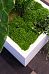 Square Fiberstone Planter by Idealist Premium JUMBO