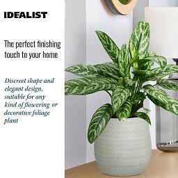 IDEALIST Lite Plaited Style Table and Hanging Plant Pot Dual Use Indoor Egg Planter