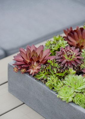 Square Fiberstone Low Planter by Idealist Premium JUMBO