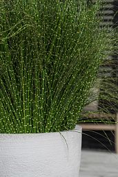 Fibrestone Jesslyn Round Planter by Idealist Premium