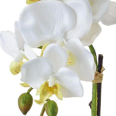 AN-Victoria Orchid in Pot White Artificial Flower Plant