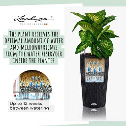 LECHUZA CILINDRO Cottage Round Tall Poly Resin Self-watering Planter