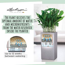 LECHUZA CANTO Stone High Square Tall Poly Resin Self-watering Planter