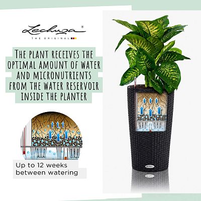 LECHUZA CILINDRO Cottage Round Tall Poly Resin Self-watering Planter