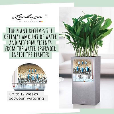 LECHUZA CANTO Stone High Square Tall Poly Resin Self-watering Planter
