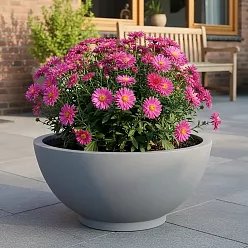IDEALIST Lite Dish Style Smooth Bowl Outdoor Planter