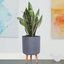 IDEALIST Lite Dotted Style Planter on Legs, Round Plant Pot Indoor