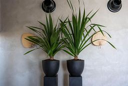 Round Egg Fiberstone Planter by Idealist Premium