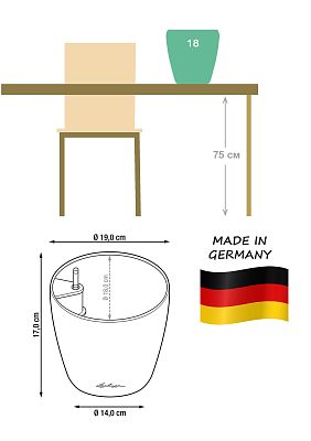 Sansevieria Cylindrica in LECHUZA CLASSICO Color Self-watering Planter, Total Height 55 cm