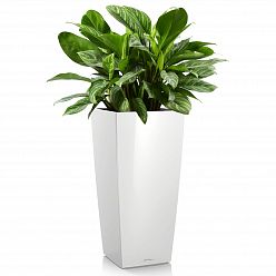 LECHUZA CUBICO Square Tall Poly Resin Self-watering Planter
