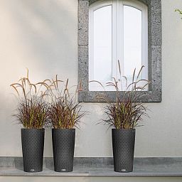 LECHUZA CILINDRO Cottage Round Tall Poly Resin Self-watering Planter