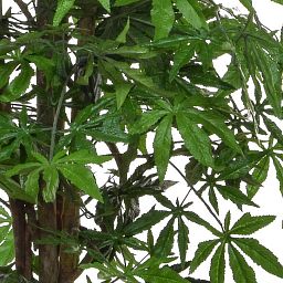 Maple Japanese Flame Retardant Artificial Tree Plant