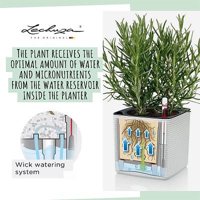 LECHUZA CUBE Color Square Poly Resin Indoor Self-watering Planter