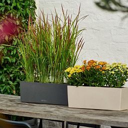 LECHUZA BALCONERA Stone Trough Poly Resin Self-watering Planter Set
