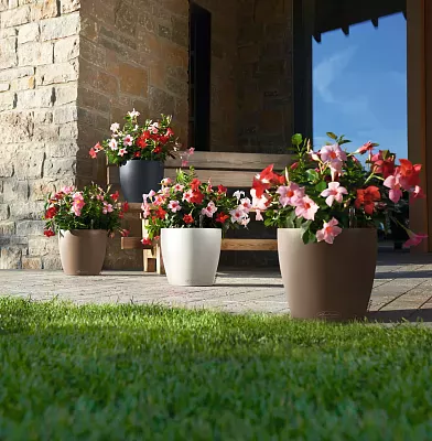 LECHUZA CLASSICO Color Round Poly Resin Self-watering Planter