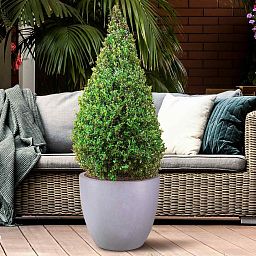IDEALIST Lite Contemporary Light Concrete Egg Planter
