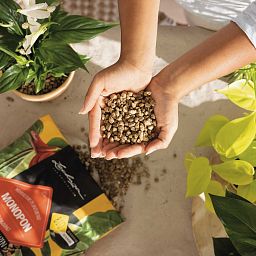 LECHUZA MONOPON Mineral Substrate, Potting Soil Compost Replacement