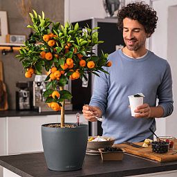 LECHUZA CLASSICO Color ECO Round PCR Plastic Self-watering Planter
