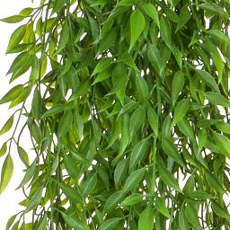 Mini Willow Flame Retardant Artificial Branch Plant