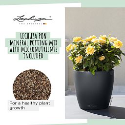 LECHUZA CLASSICO Color Round Poly Resin Self-watering Planter