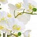 AN-Phalaenopsis Real Touch in Pot White Artificial Flower Plant