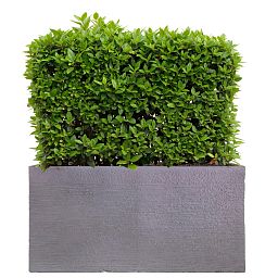 IDEALIST Lite Ribbed Light Concrete Trough Planter