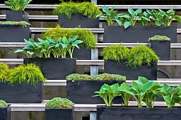 WINDOW BOX Fiberstone Planter by Idealist Premium Balcony