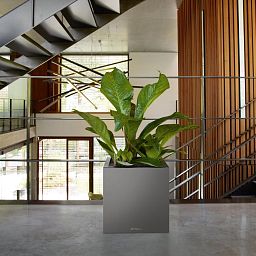 LECHUZA CANTO Low Square Poly Resin Self-watering Planter