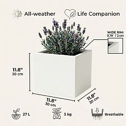 IDEALIST Lite Square Box Contemporary Light Concrete Planter