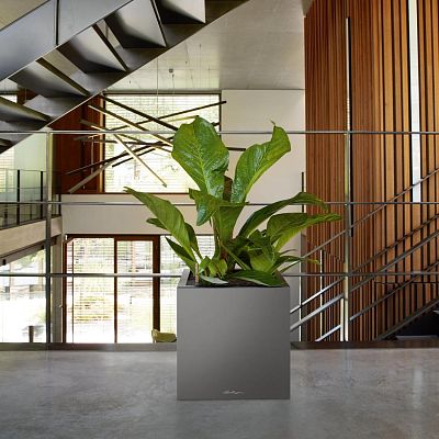 LECHUZA CANTO Low Square Poly Resin Self-watering Planter