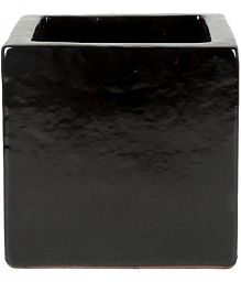 Ceramic Square Glossy Planter Pot In/Out