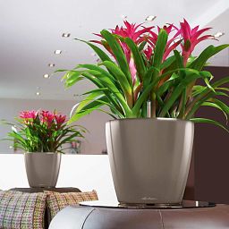 LECHUZA CLASSICO LS Round Poly Resin Self-watering Planter
