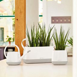 LECHUZA YULA Square Poly Resin Indoor Self-watering Planter
