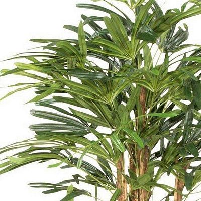 RAPHISPALME Artificial Tree Plant