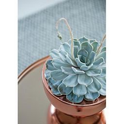 Fiberstone Glossy Peter Light Planter by Idealist Premium