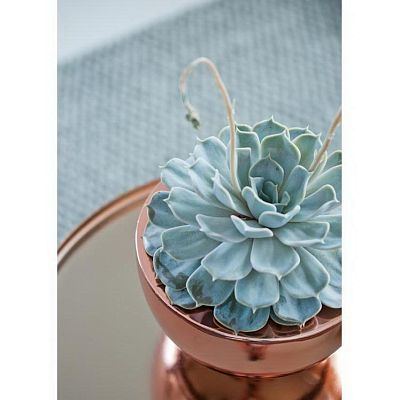 Fiberstone Glossy Peter Light Planter by Idealist Premium