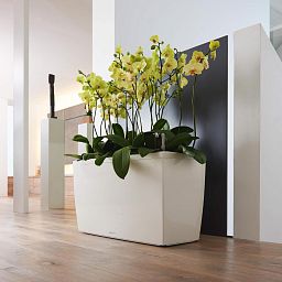 LECHUZA CARARO Trough Poly Resin Self-watering Planter