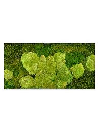 Moss Painting Stiel L Rectangle