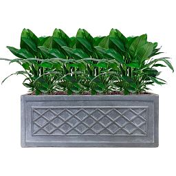IDEALIST Lite Window Box Faux Lead Lattice Grey Light Stone Planter