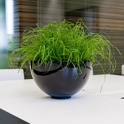 Fiberstone Glossy Peter Light Planter by Idealist Premium