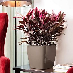LECHUZA QUADRO Square Poly Resin Planter Only