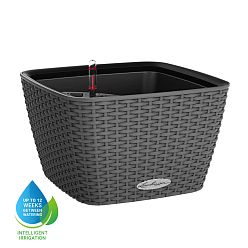 LECHUZA BACINO Cottage Square Poly Resin Self-watering Planter