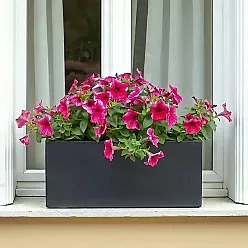 IDEALIST Lite Contemporary Light Concrete Trough Planter