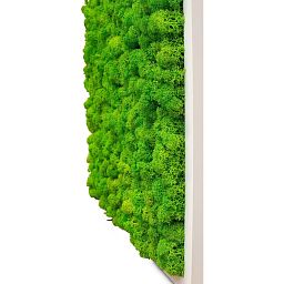 PREMIUM Moss Wall Art Artificial Moss Plant