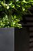 Tall Fiberstone Square Planter by Idealist Premium BOUVY
