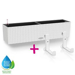 LECHUZA BALCONERA Cottage Trough Poly Resin Self-watering Planter Set