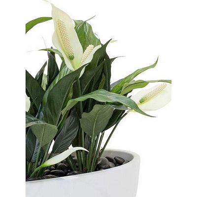 ECONOMY Artificial Grass Plants Sets